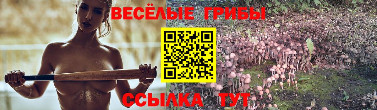 Псилоцибиновые грибы ЛСД  Вход с VPN  Городец 